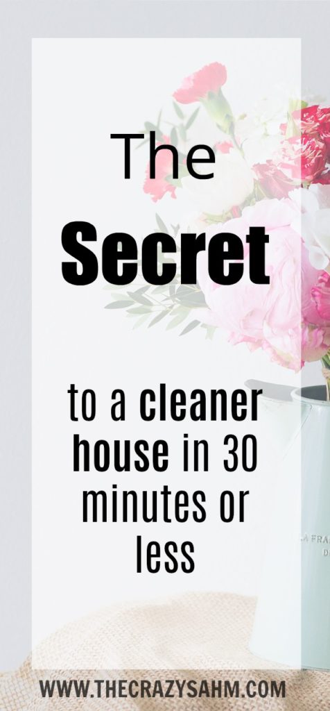 Need your house to look somewhat presentable in a flash? Check out the secret to a cleaner house in 30 minutes or less by clicking here!