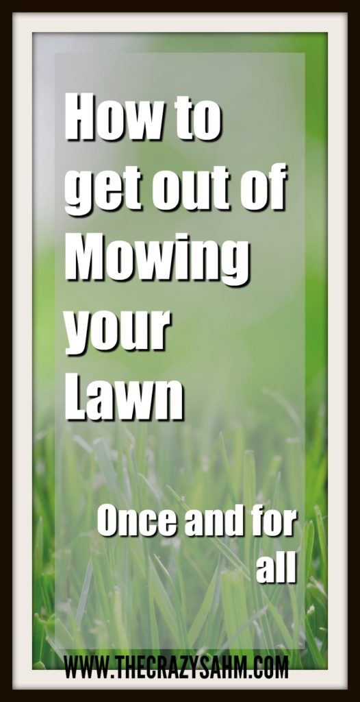 Who said mowing your yard doesn't have to be fun? Or at least fun for one time before you do not have to do it anymore. Click here to find out how I got out of it!