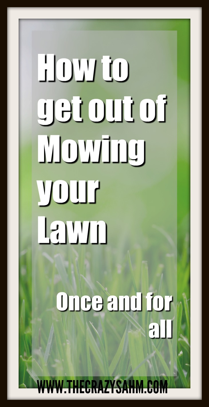 How to get out of mowing your yard once and for all