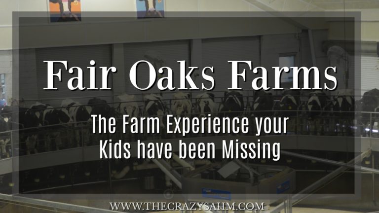 Fair Oaks Farms : A Farm Adventure to Wow your Family