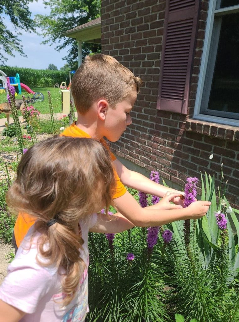 a girl and a boy looking closely at purple flowers next to a building free summertime activities for kids 