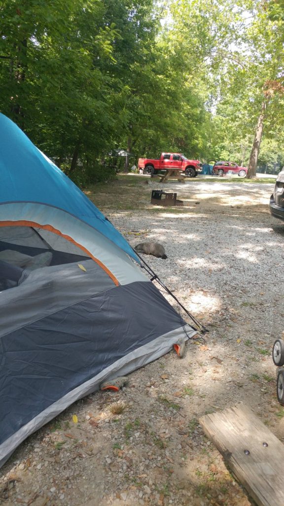 a blue tent set up close to the camera with a red truck in the background